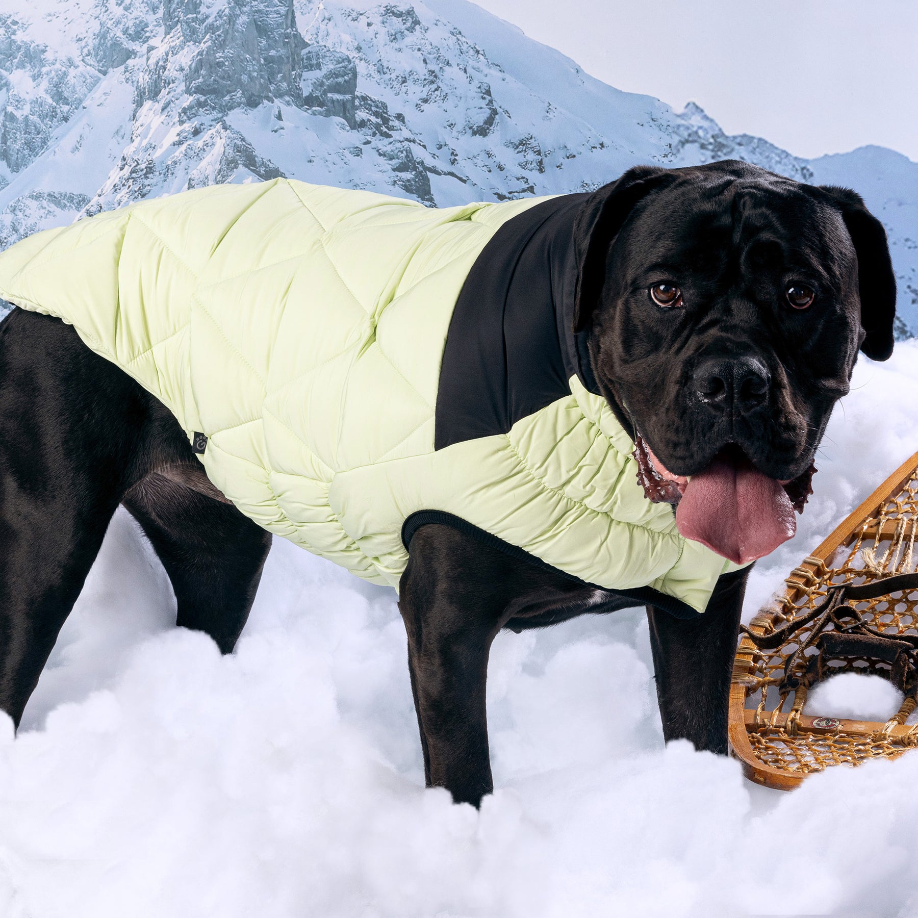 Diamond Dog Puffer | Green