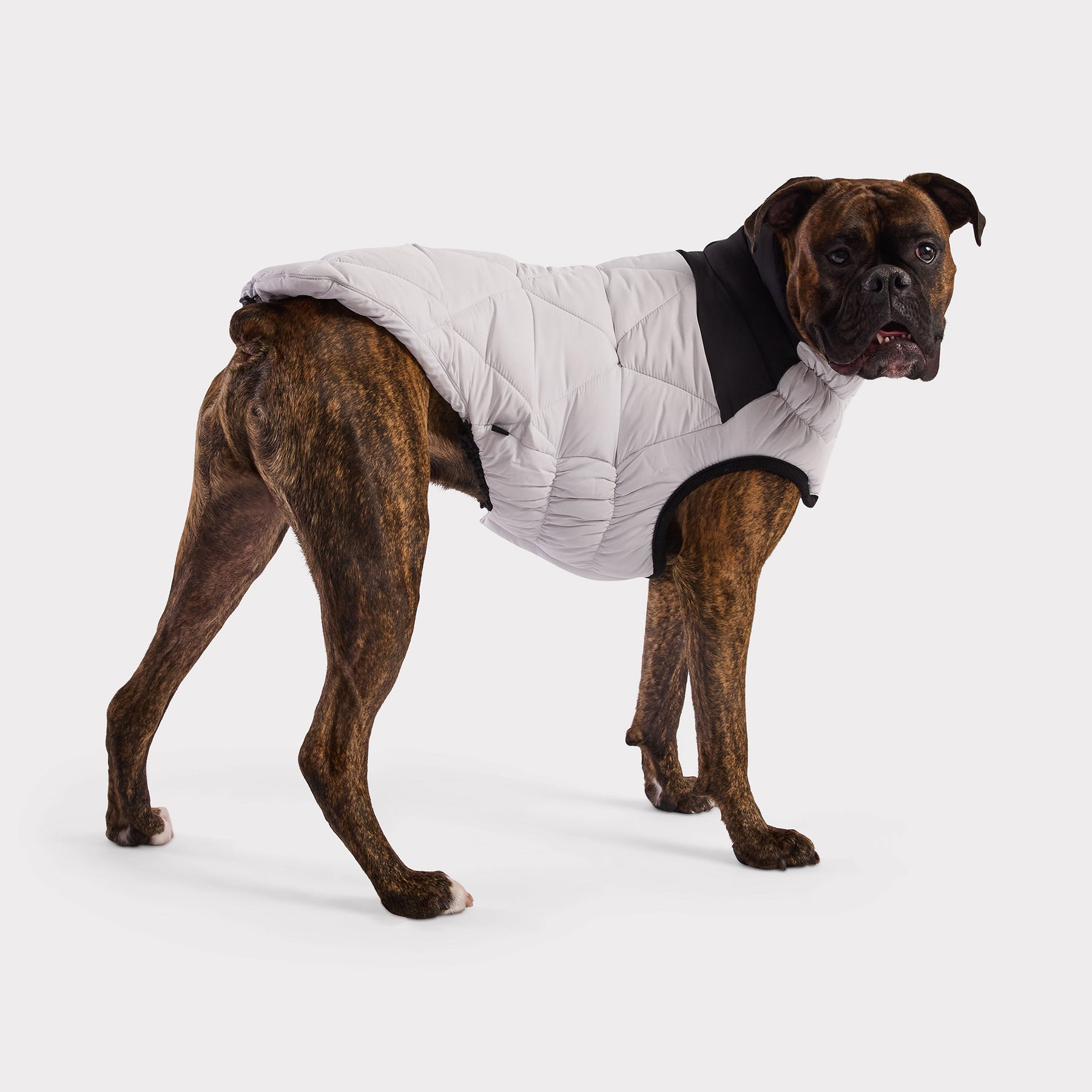 Diamond Dog Puffer | Grey