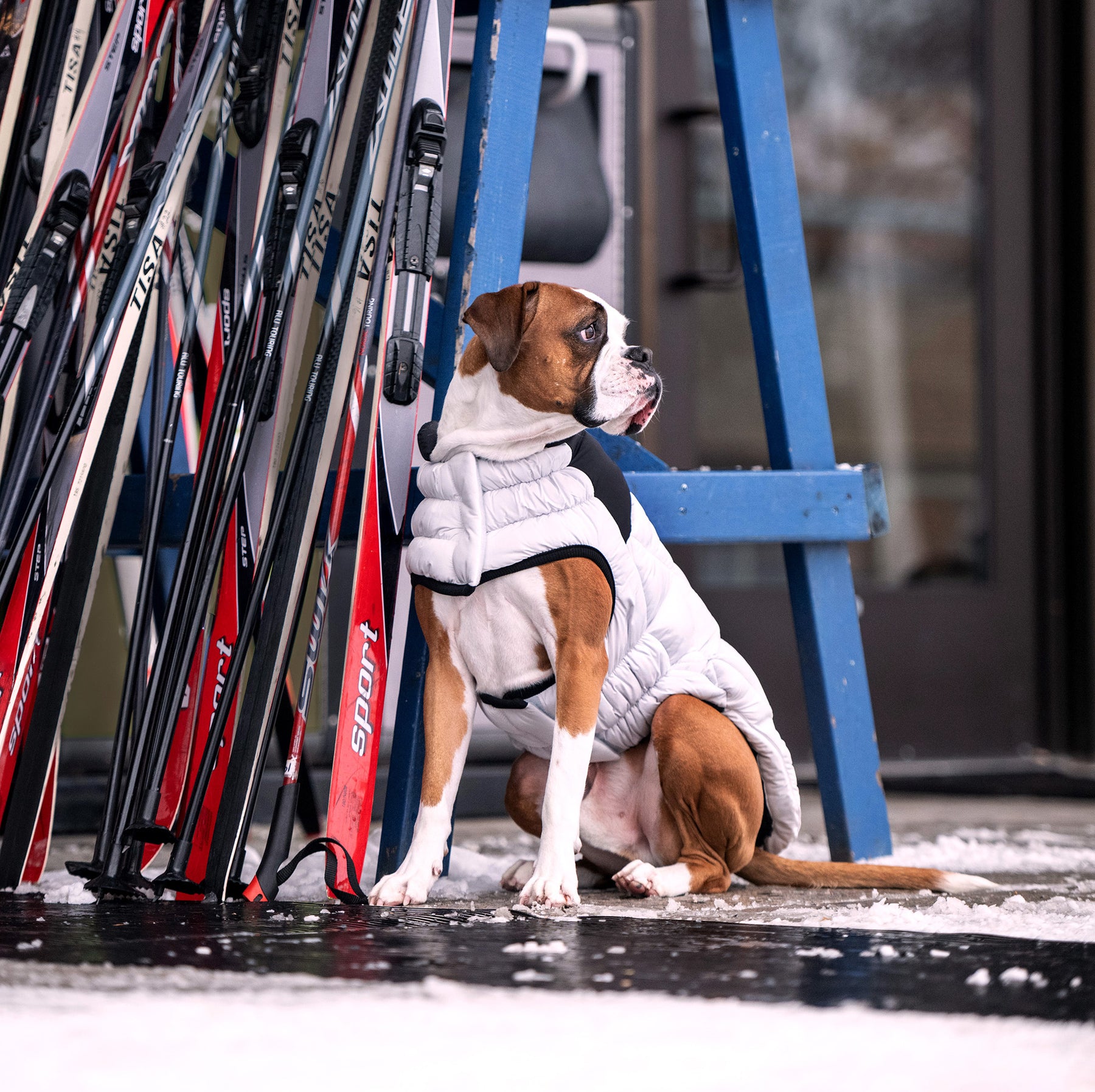 Diamond Dog Puffer | Grey