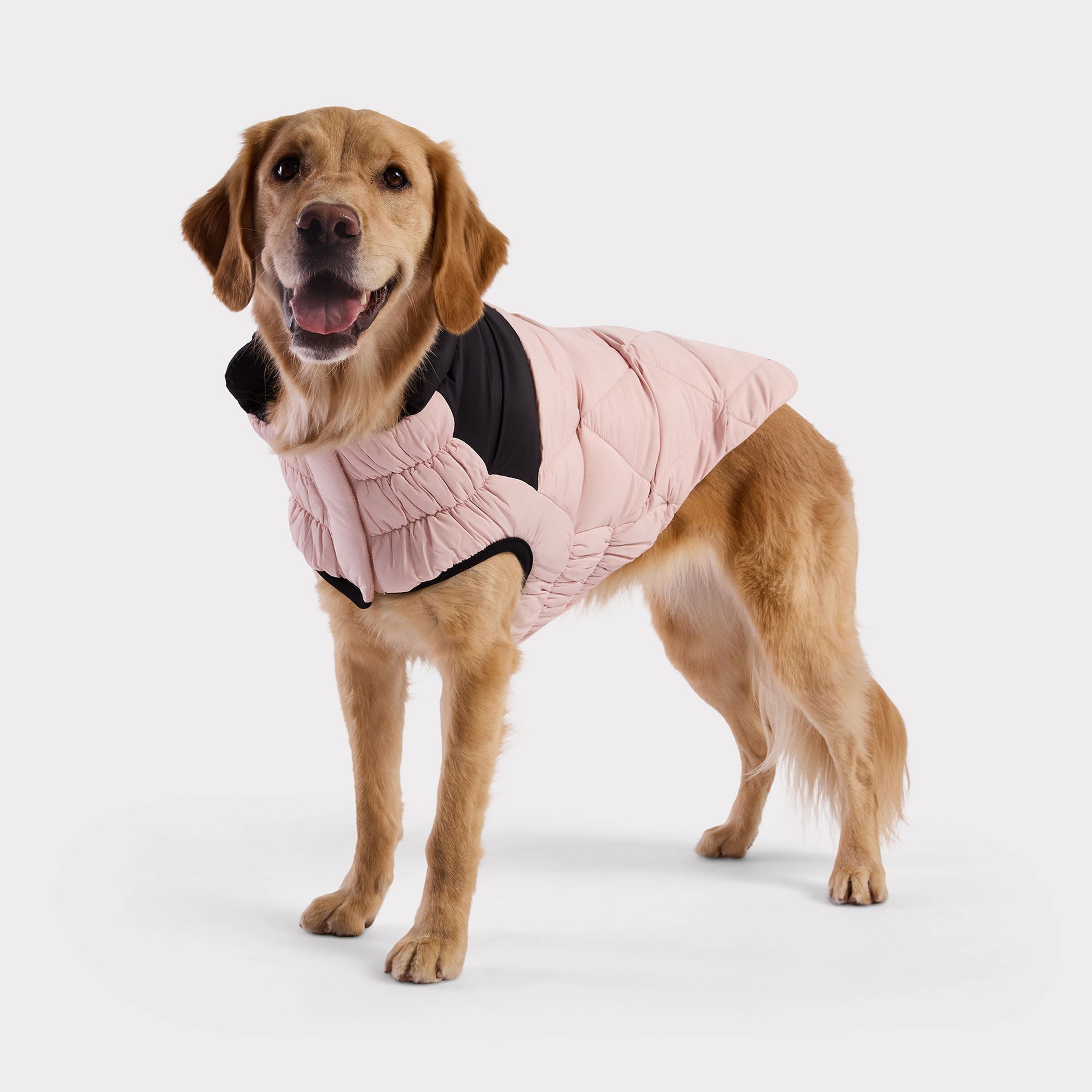 Diamond Dog Puffer | Pink