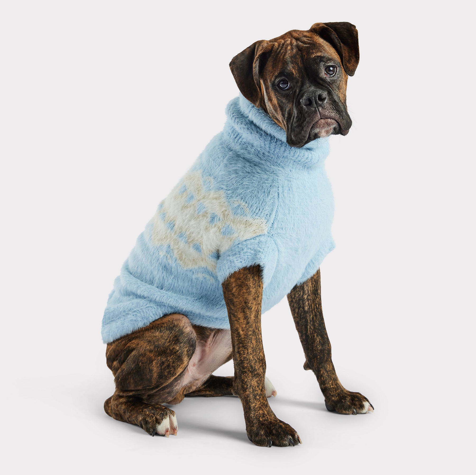 Fuzzy Dog Sweater | Light Blue