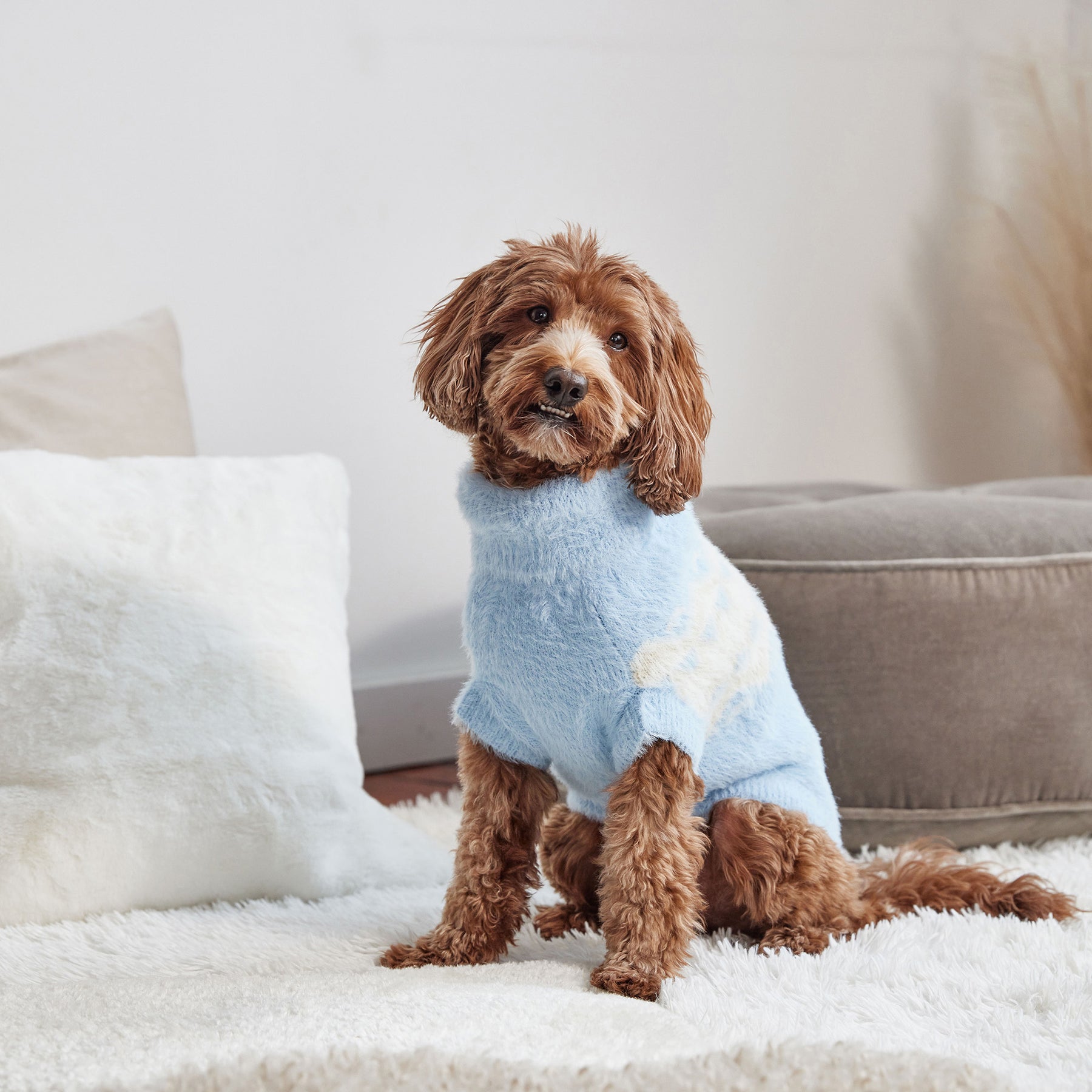 Fuzzy Dog Sweater | Light Blue