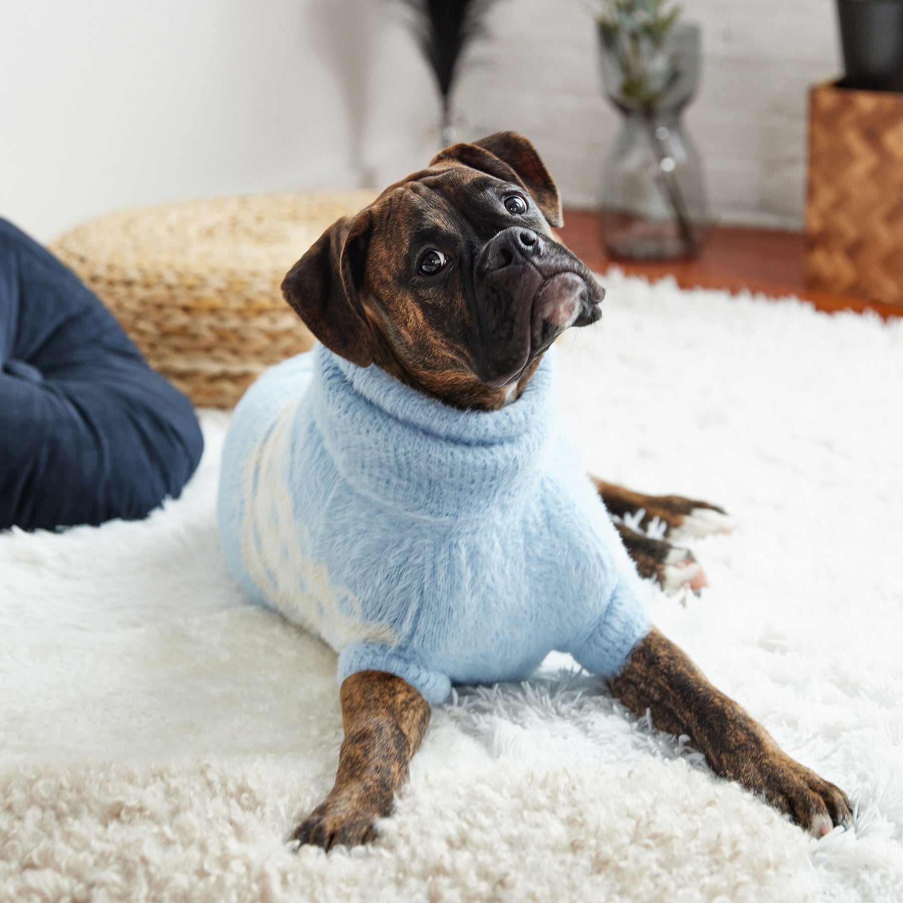 Fuzzy Dog Sweater | Light Blue