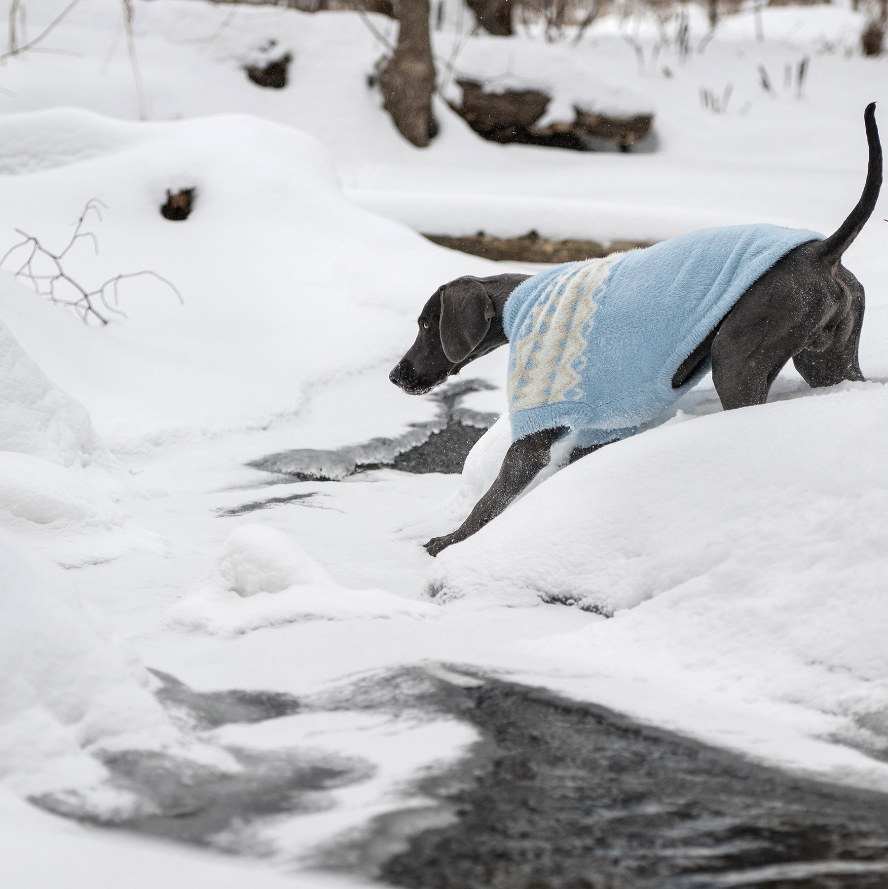 Fuzzy Dog Sweater | Light Blue