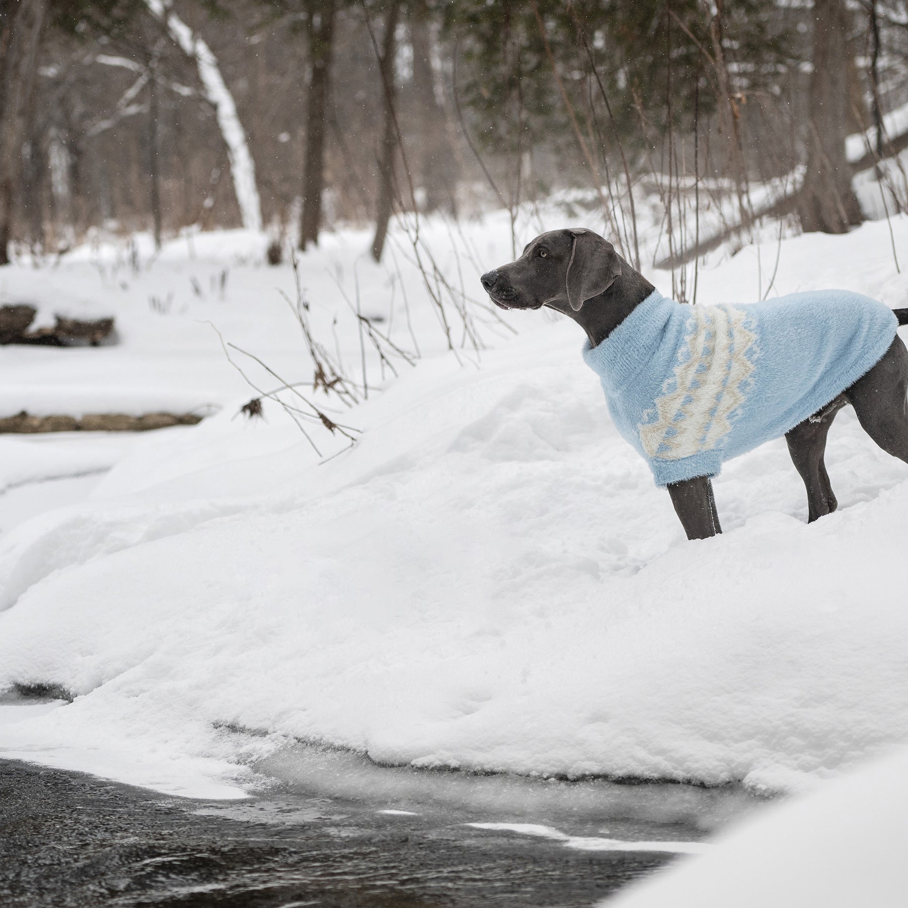 Fuzzy Dog Sweater | Light Blue