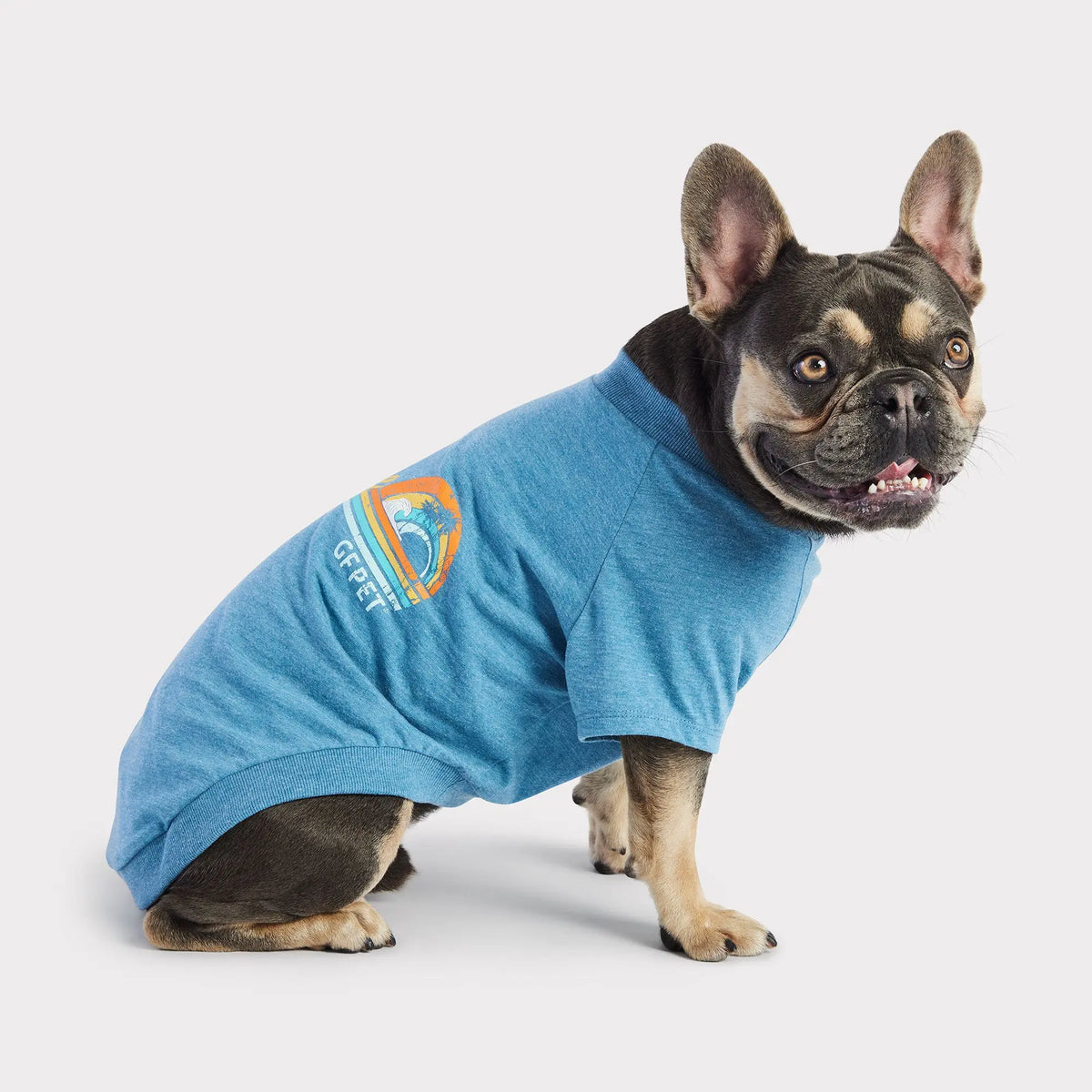 Graphic Tee Dog T-Shirt | Heather Blue GF PET Apparel GF Pet Official Online Store