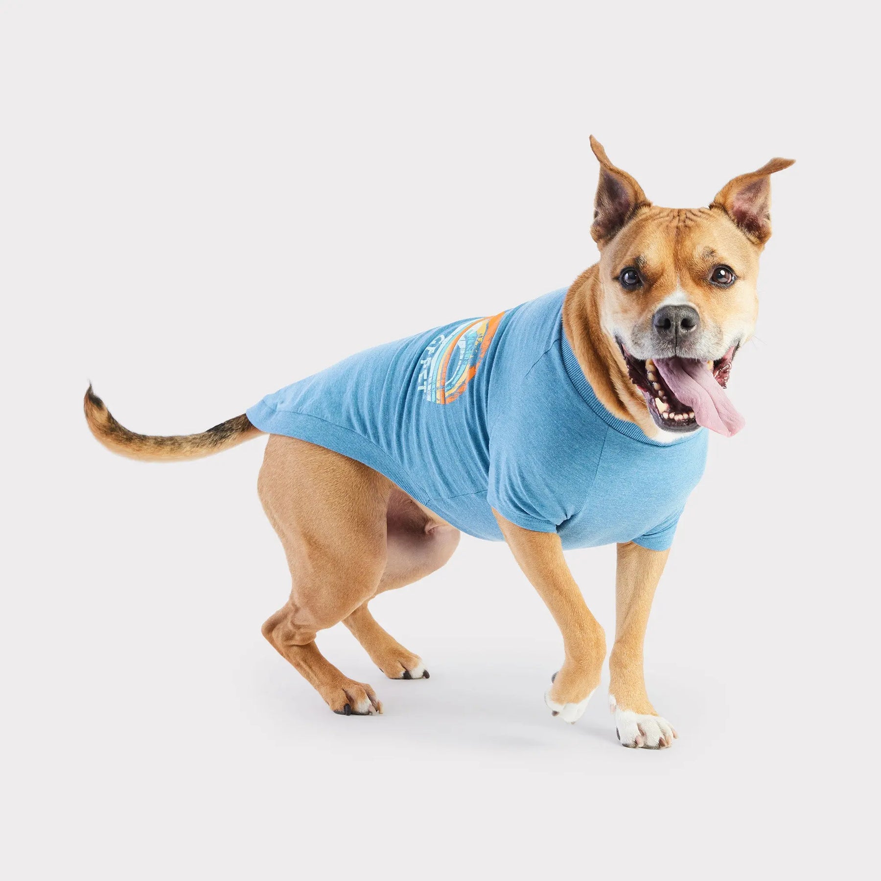 Graphic Tee Dog T-Shirt | Heather Blue GF PET Apparel GF Pet Official Online Store