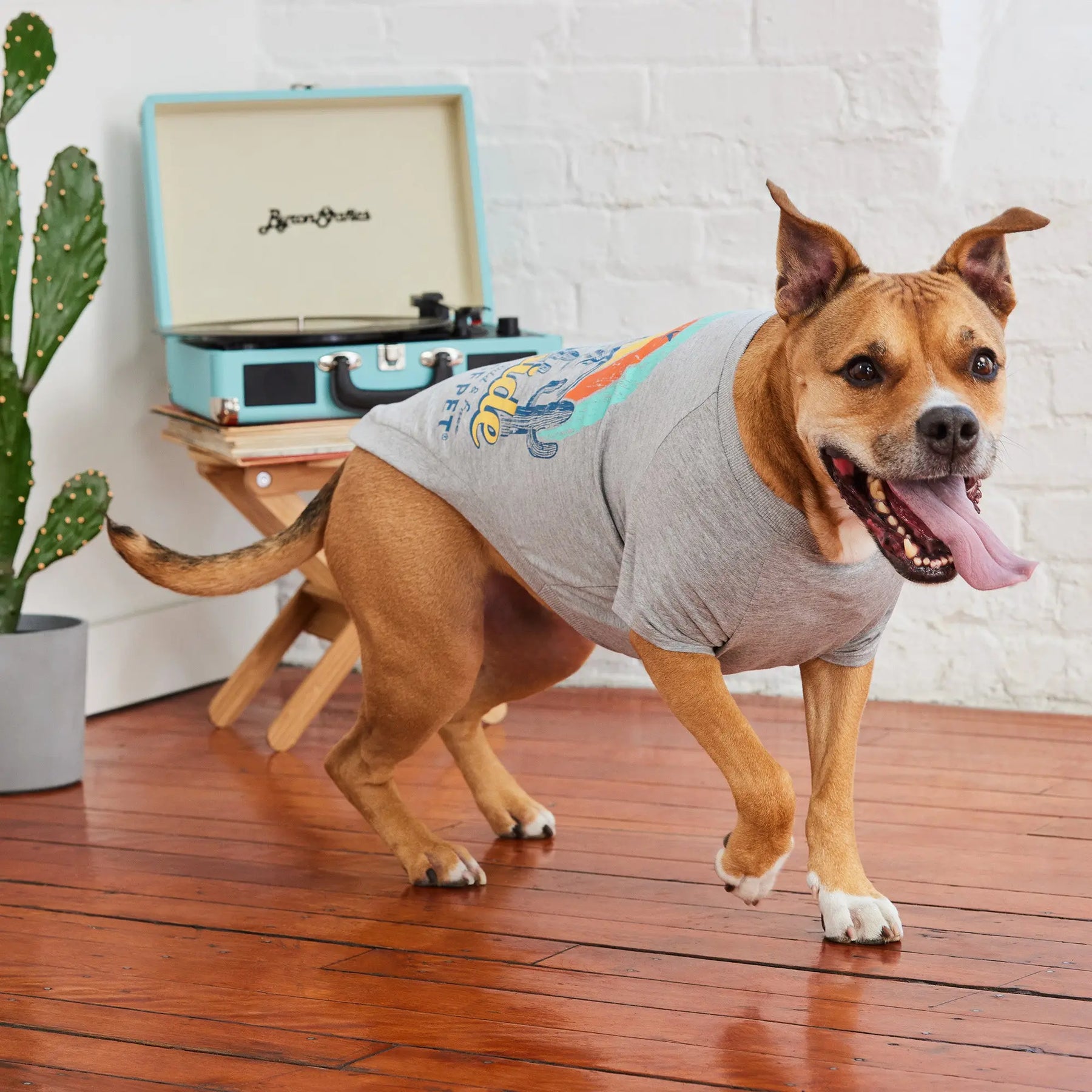 Graphic Tee Dog T-Shirt | Heather Grey GF PET Apparel GF Pet Official Online Store