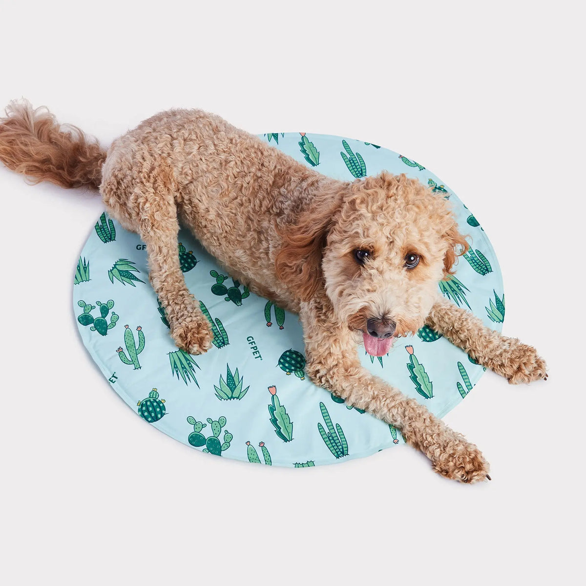 ICE MAT¨ Pet Cooling Mat | Aqua GF PET Cooling GF Pet Official Online Store