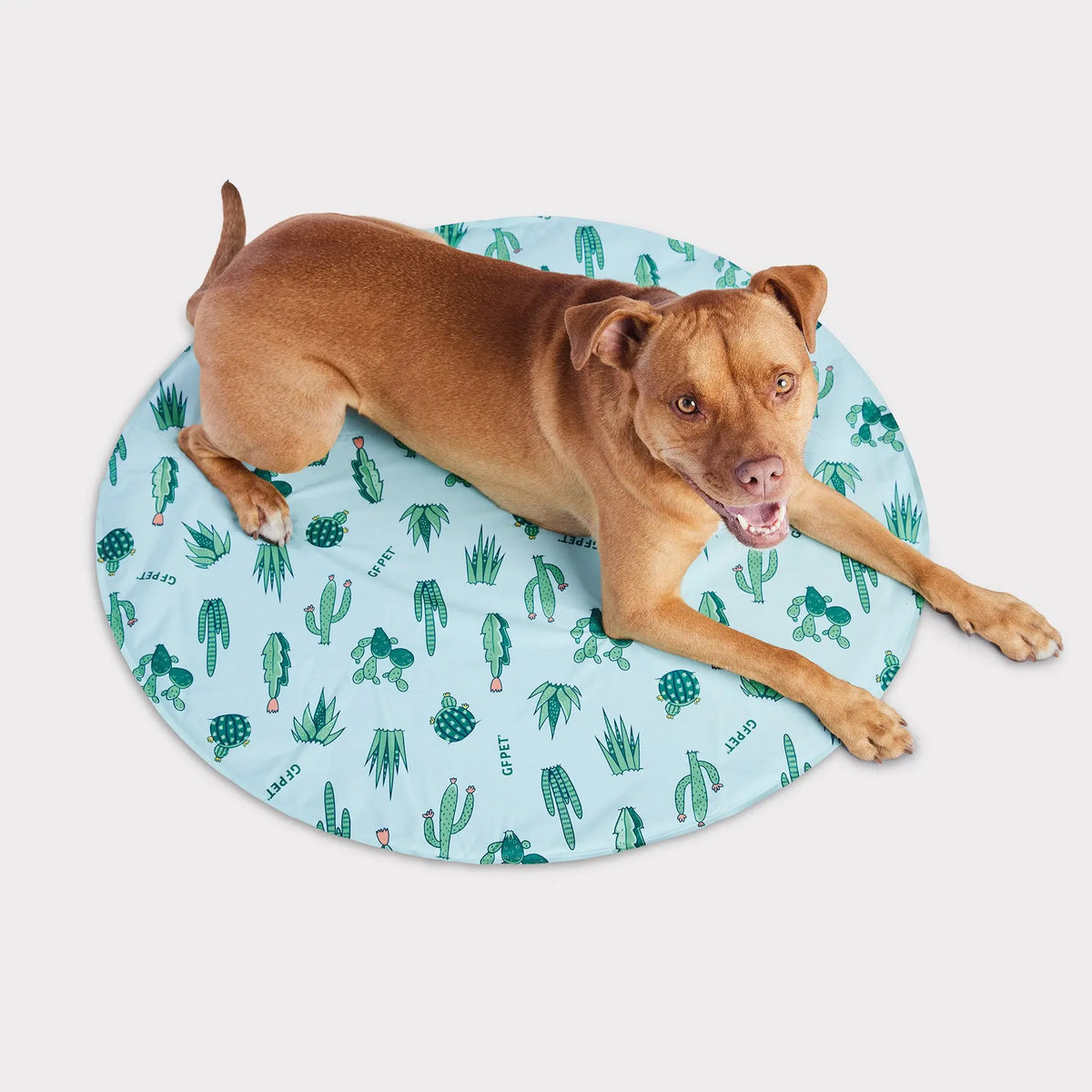ICE MAT¨ Pet Cooling Mat | Aqua GF PET Cooling GF Pet Official Online Store