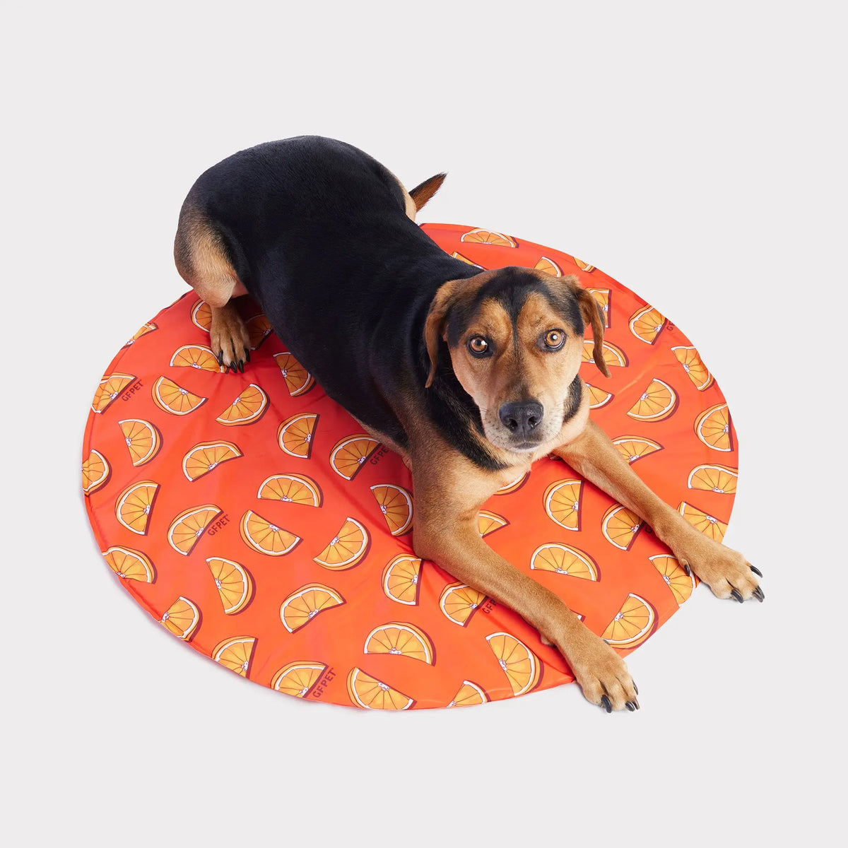 ICE MAT¨ Pet Cooling Mat | Orange GF PET Cooling GF Pet Official Online Store