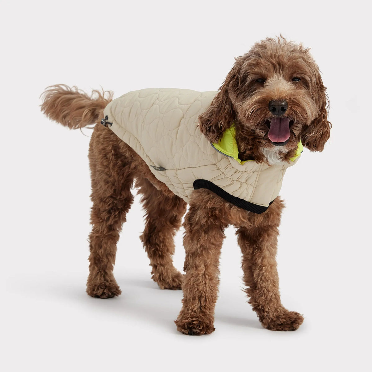 Reversible Chalet Dog Jacket | Sand / Neon Yellow GF PET Apparel GF Pet Official Online Store