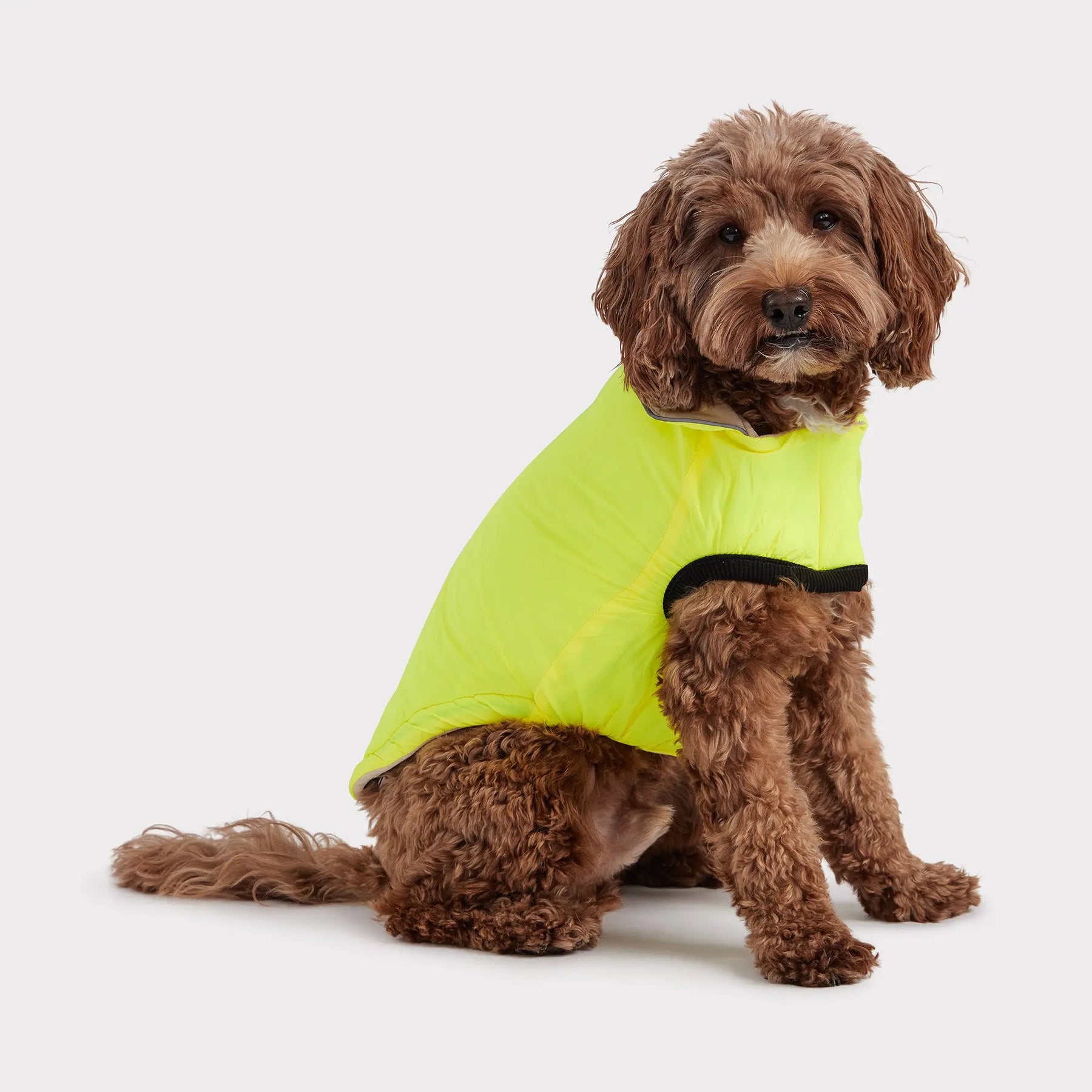 Reversible Chalet Dog Jacket | Sand / Neon Yellow GF PET Apparel GF Pet Official Online Store