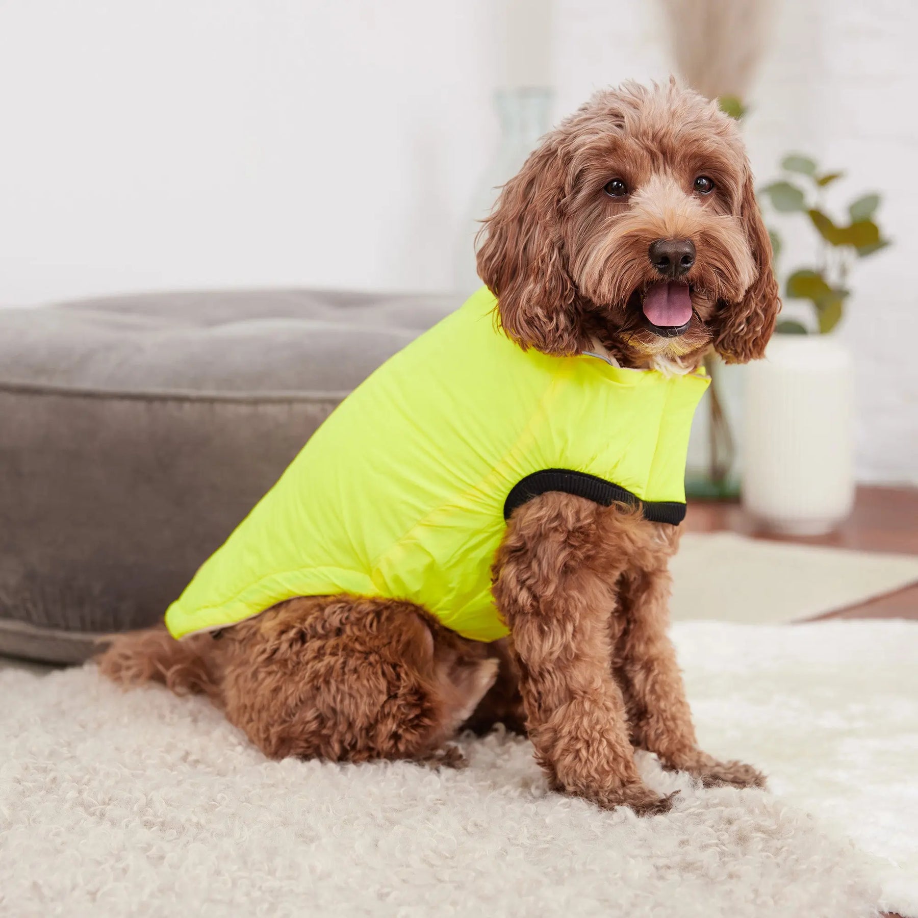 Reversible Chalet Dog Jacket | Sand / Neon Yellow GF PET Apparel GF Pet Official Online Store