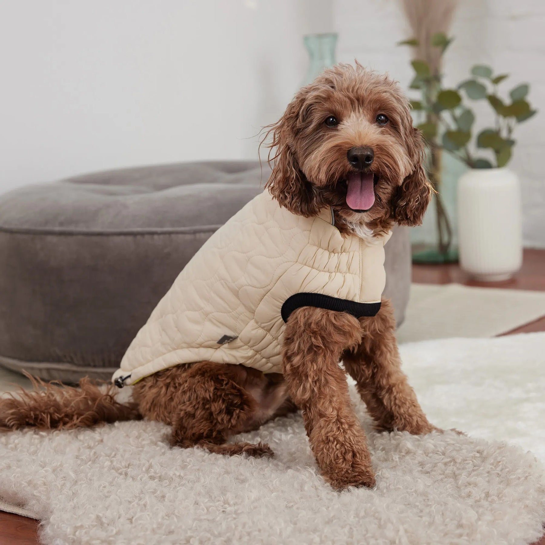 Reversible Chalet Dog Jacket | Sand / Neon Yellow GF PET Apparel GF Pet Official Online Store