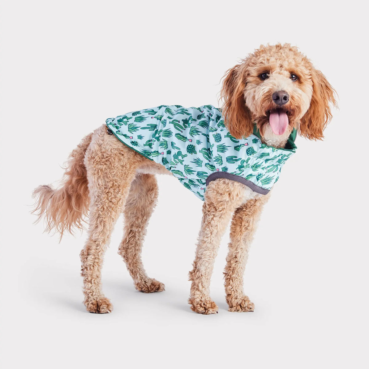 Reversible Dog Raincoat | Green Cactus GF PET Apparel GF Pet Official Online Store