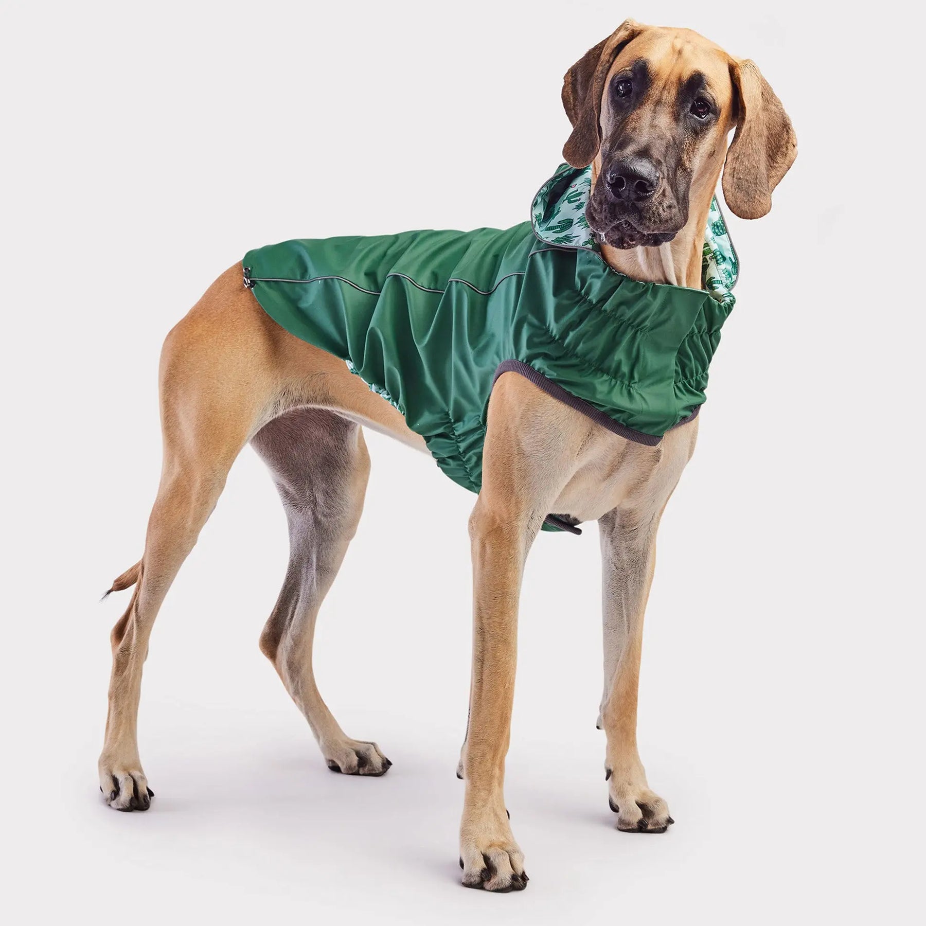 Reversible Dog Raincoat | Green Cactus GF PET Apparel GF Pet Official Online Store