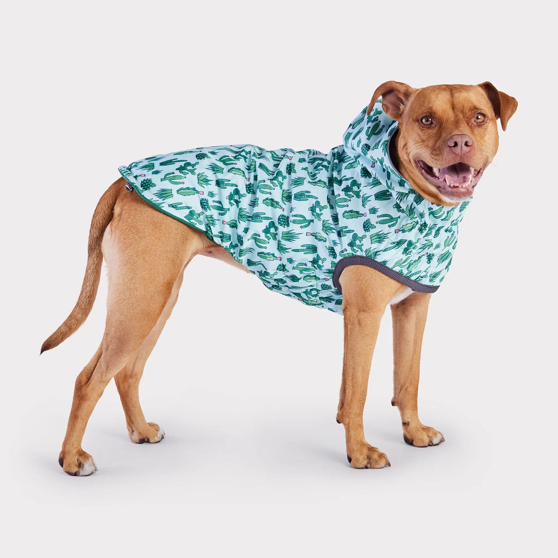 Reversible Dog Raincoat | Green Cactus GF PET Apparel GF Pet Official Online Store