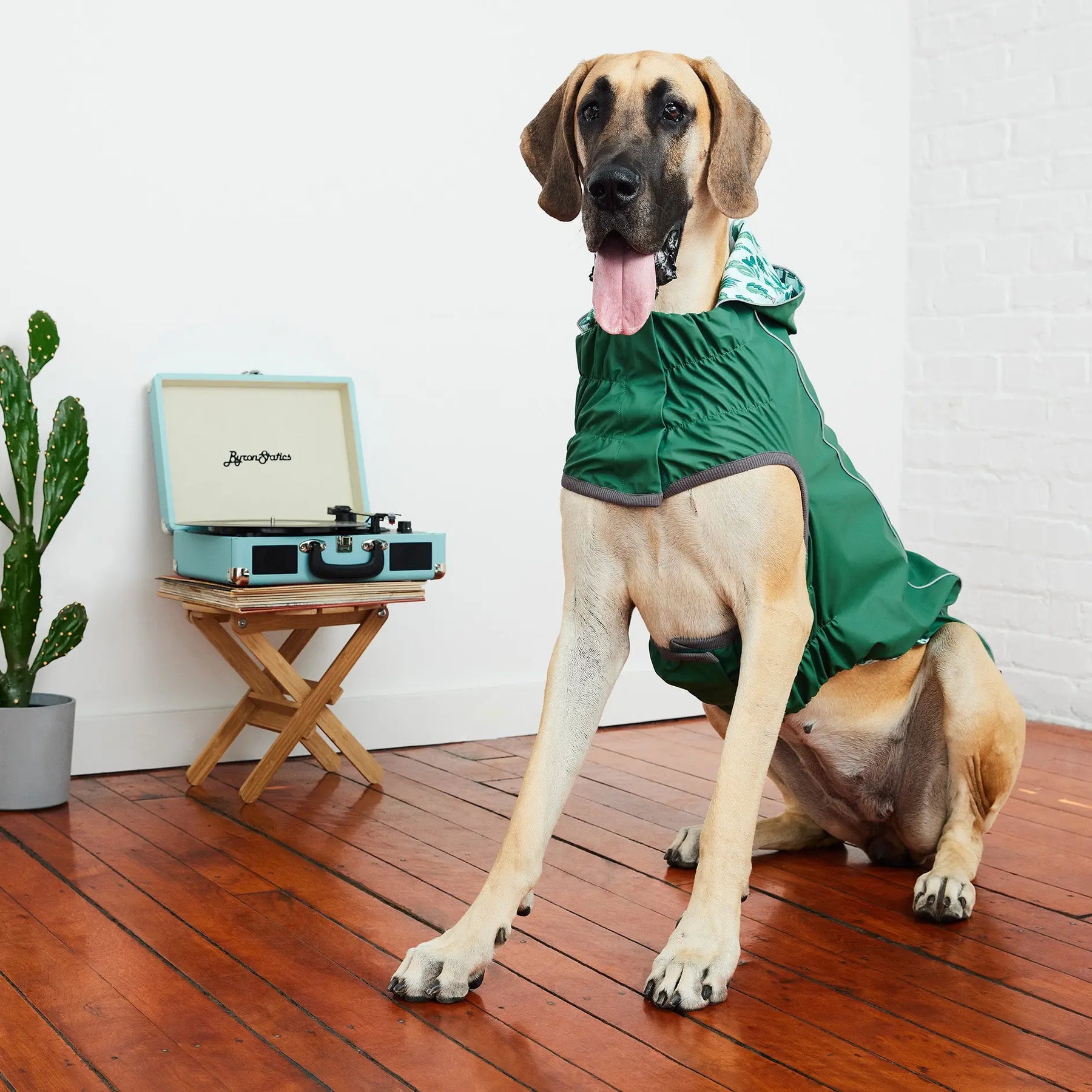 Reversible Dog Raincoat | Green Cactus GF PET Apparel GF Pet Official Online Store