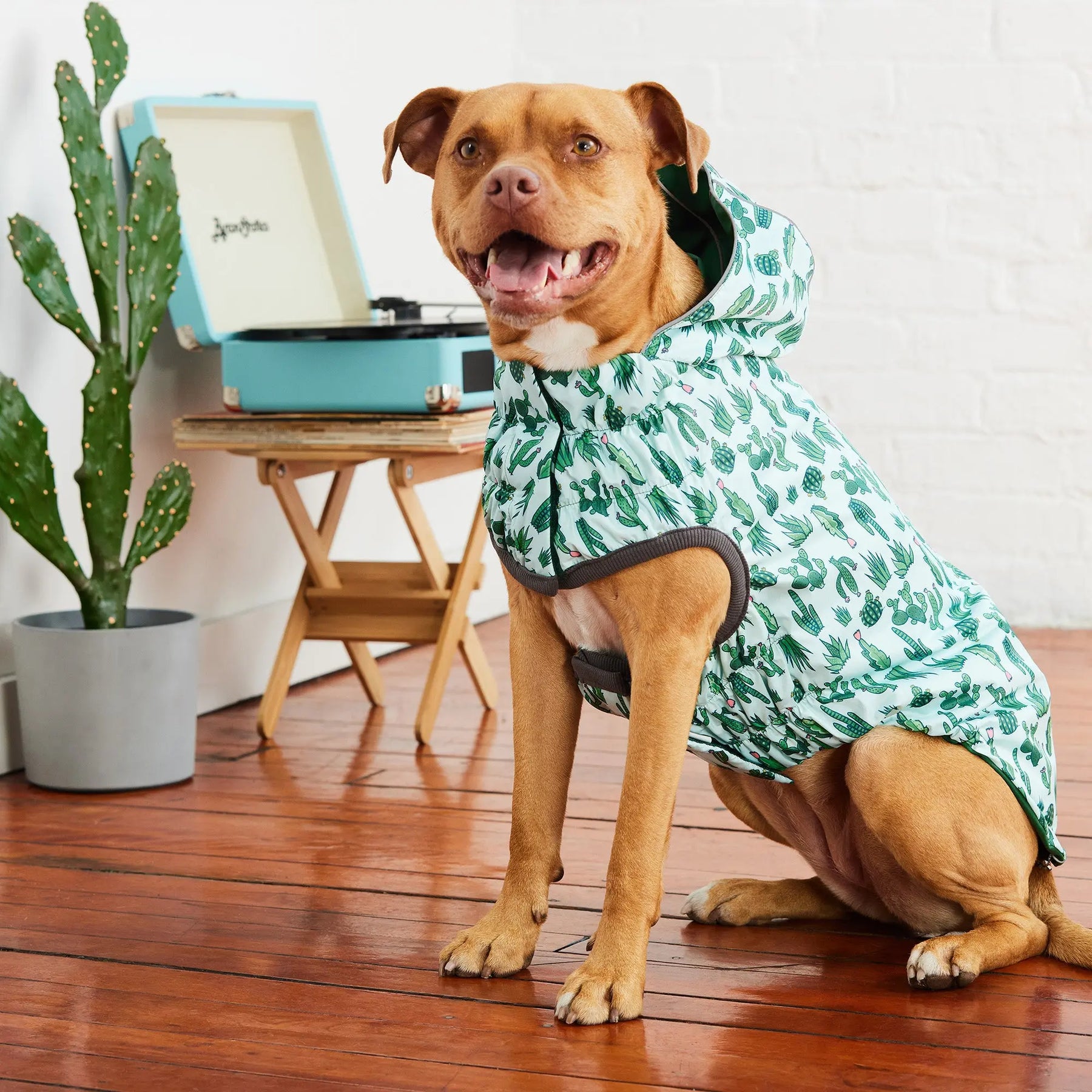 Reversible Dog Raincoat | Green Cactus GF PET Apparel GF Pet Official Online Store