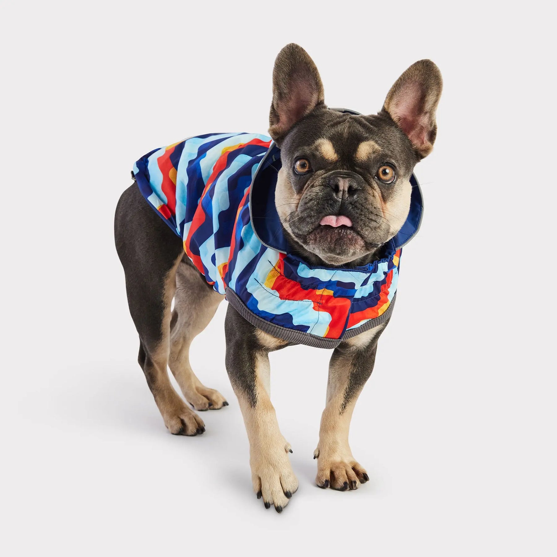 Reversible Dog Raincoat | Navy Retro GF PET Apparel GF Pet Official Online Store