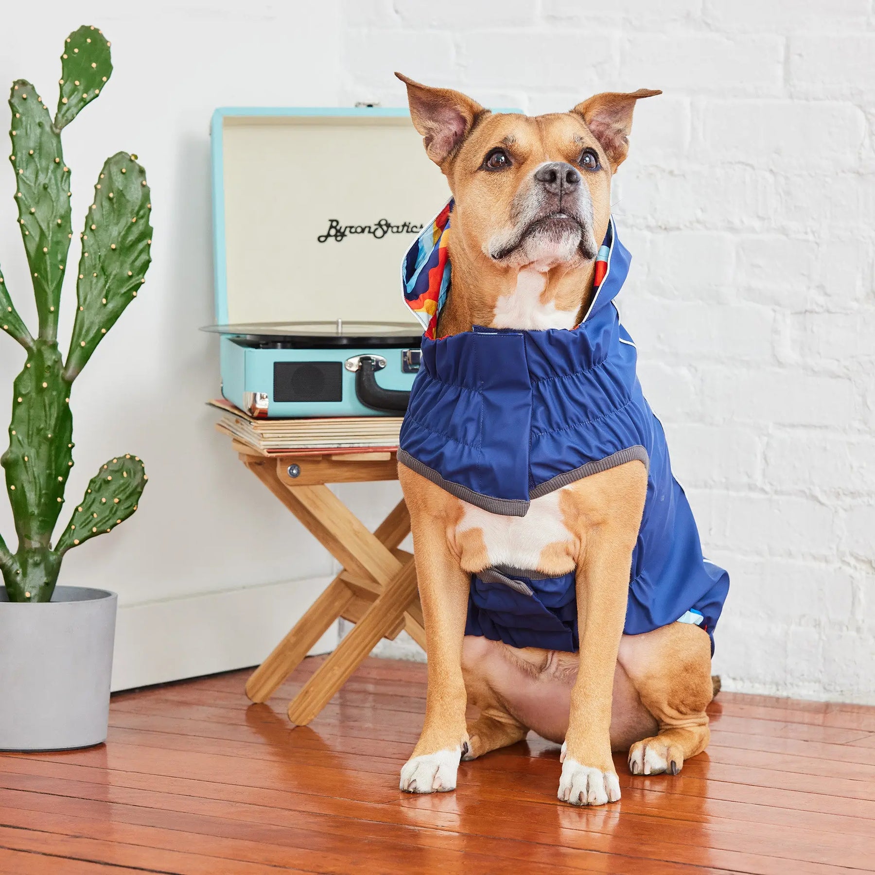 Reversible Dog Raincoat | Navy Retro GF PET Apparel GF Pet Official Online Store