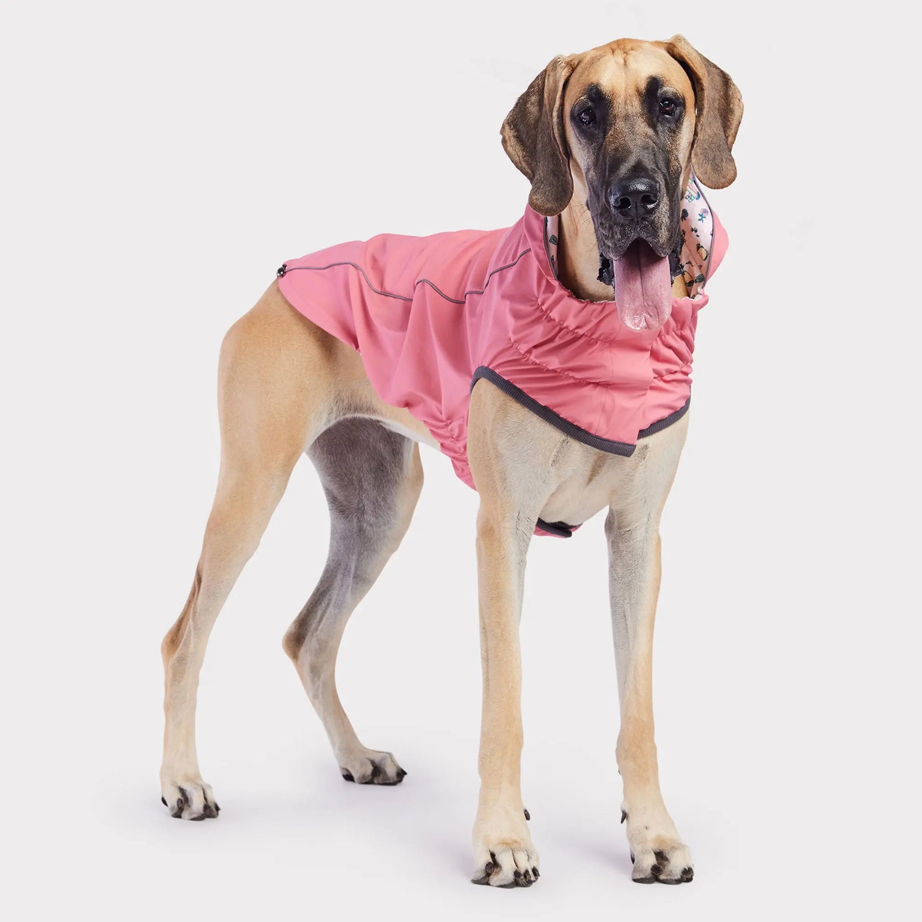 Reversible Dog Raincoat | Pink Fiesta GF PET Apparel GF Pet Official Online Store