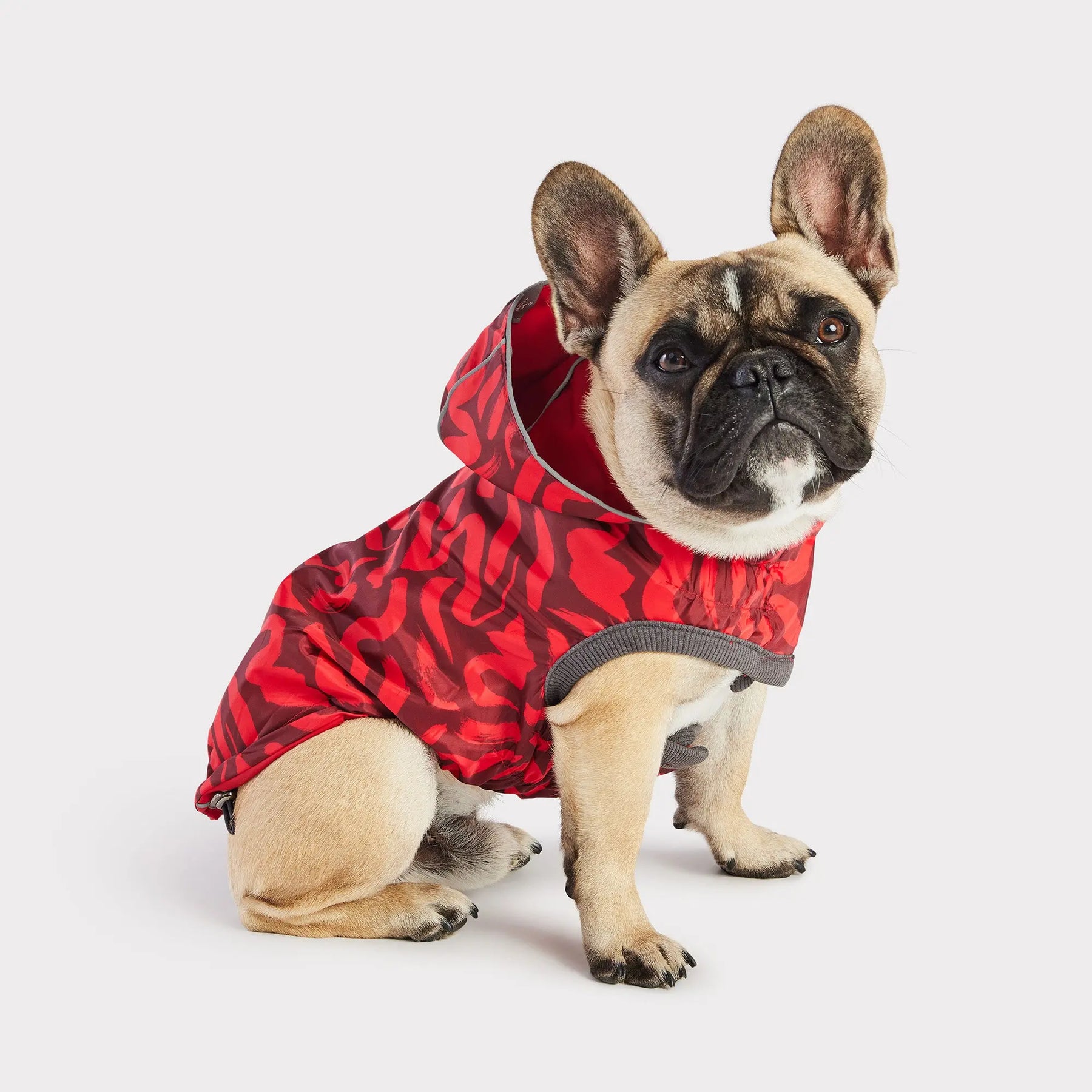 Reversible Dog Raincoat | Red Abstract GF PET Apparel GF Pet Official Online Store