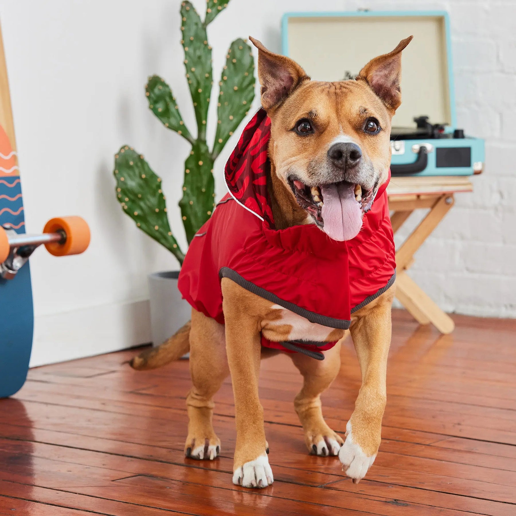 Reversible Dog Raincoat | Red Abstract GF PET Apparel GF Pet Official Online Store