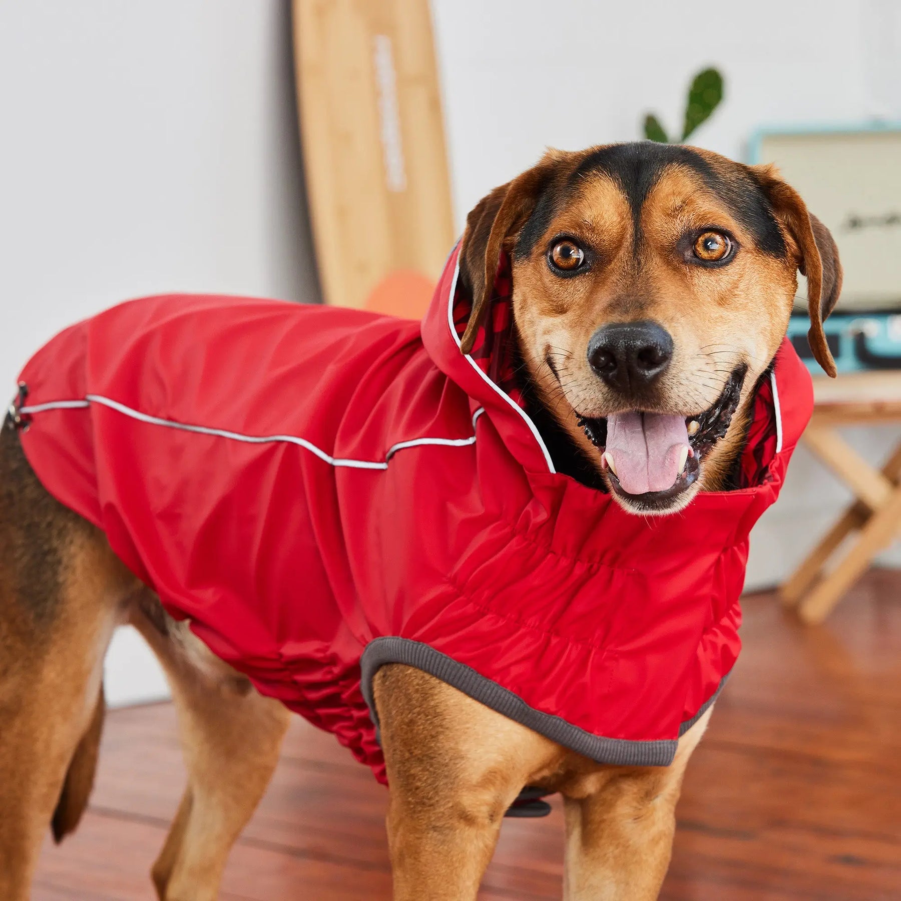 Reversible Dog Raincoat | Red Abstract GF PET Apparel GF Pet Official Online Store