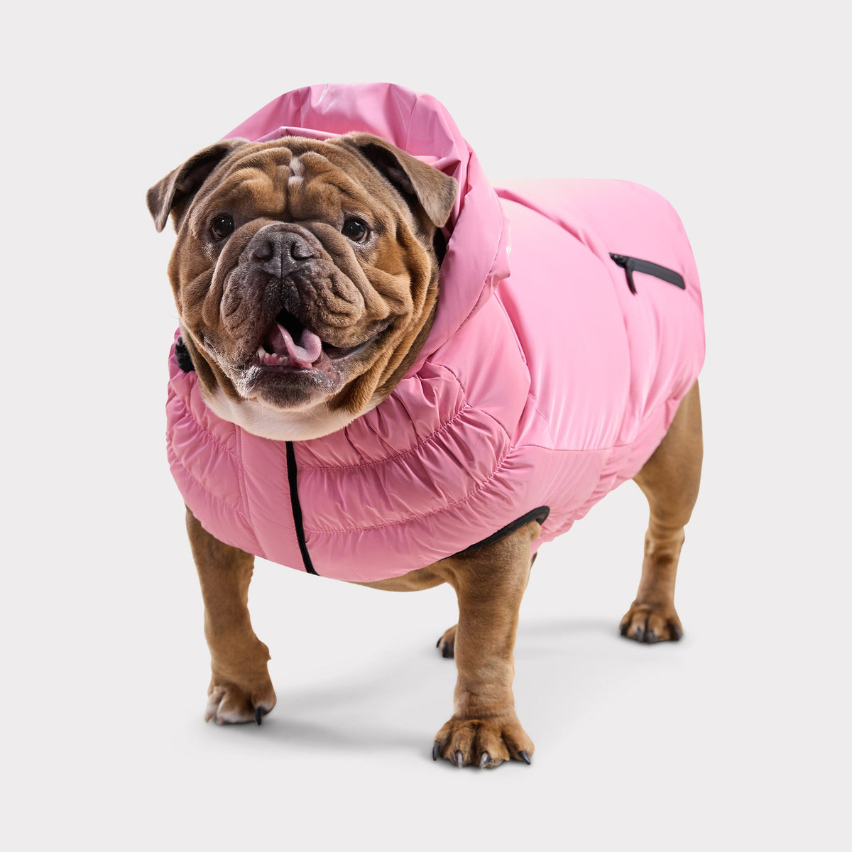 Storm Glide Parka | Shadow Moss GF Pet Official Online Store Apparel GF Pet Official Online Store