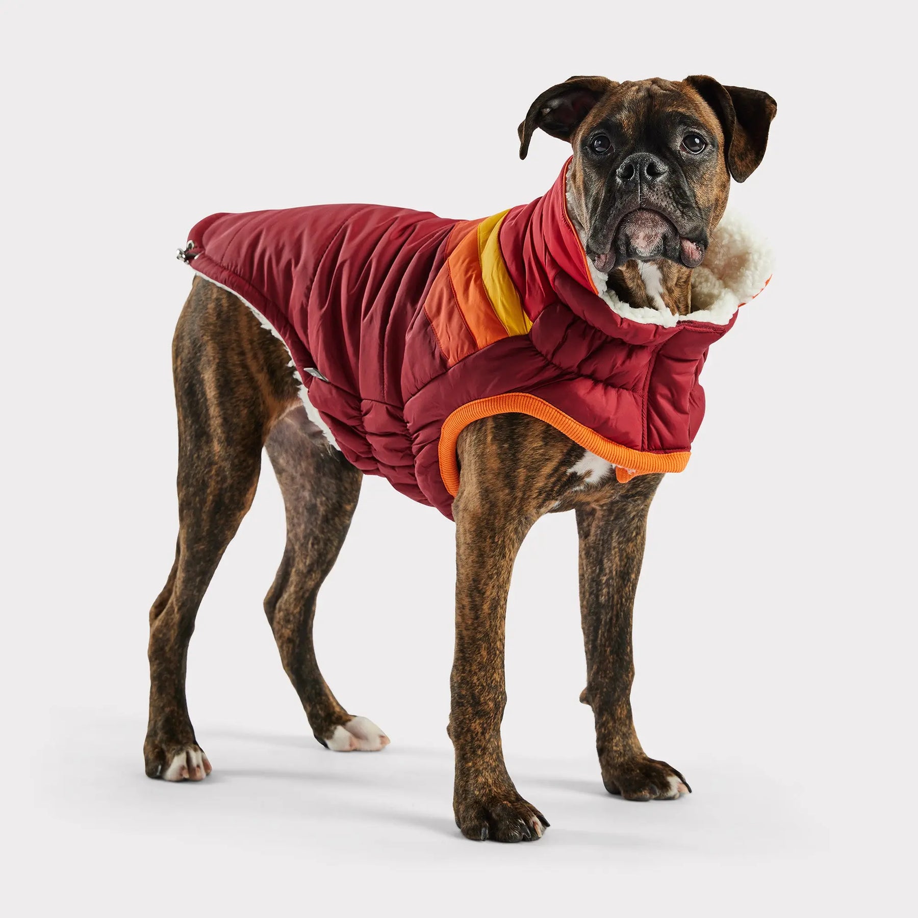 Summit Dog Puffer | Dark Red GF PET Apparel GF Pet Official Online Store