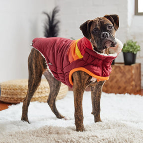 Summit Dog Puffer | Dark Red GF PET Apparel GF Pet Official Online Store