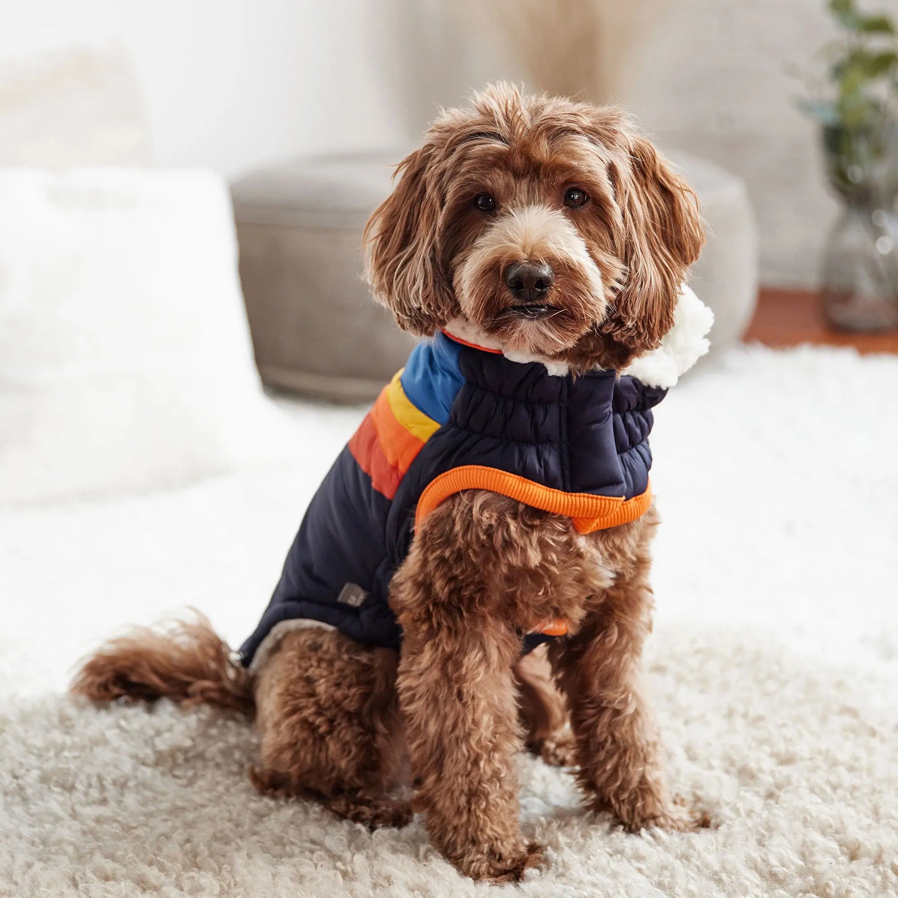 Summit Dog Puffer | Navy GF PET Apparel GF Pet Official Online Store