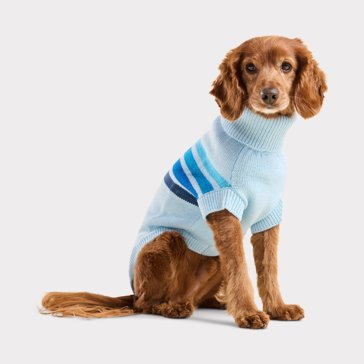 The Coastline Knit Sweater | GF Pet Official Online Store Apparel GF Pet Official Online Store