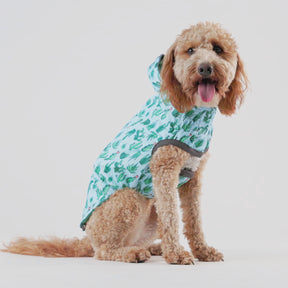 Reversible Dog Raincoat | Green Cactus