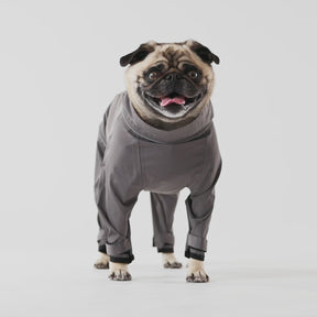 Dog Splash Suit | Charcoal