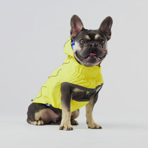 Reversible Dog Raincoat | Yellow Tie-Dye