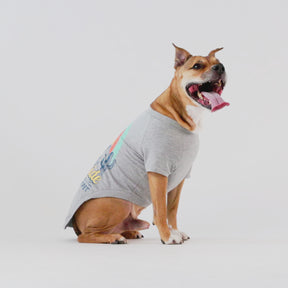 Graphic Tee Dog T-Shirt | Heather Grey