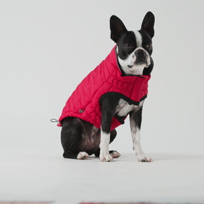 Reversible Chalet Dog Jacket | Red
