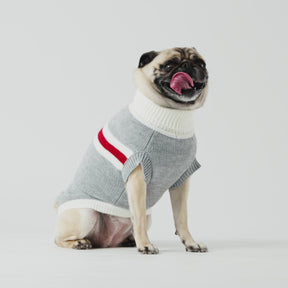 Trekking Dog Sweater | Grey Mix