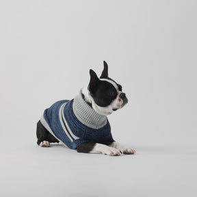 Trekking Dog Sweater | Blue
