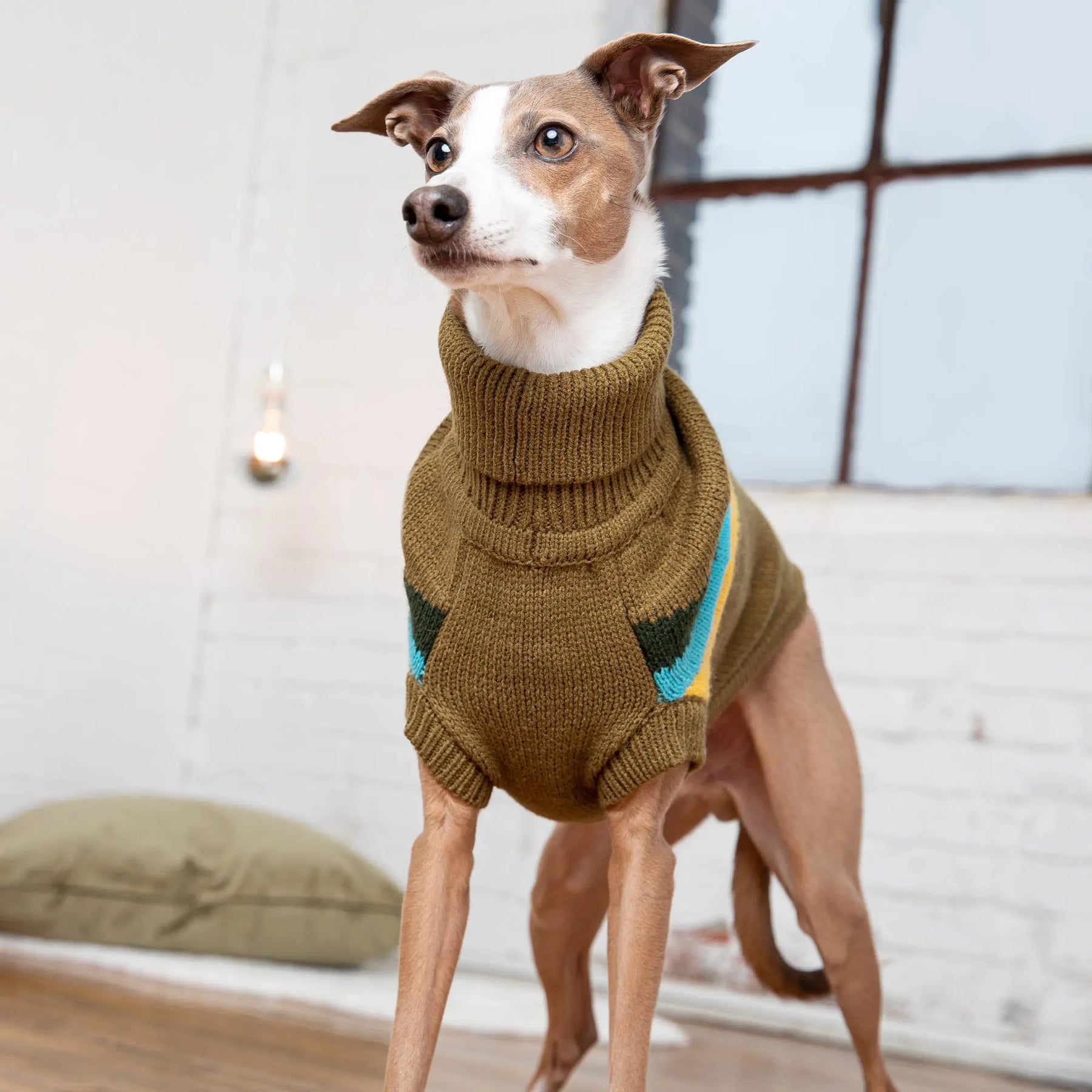 Alpine Sweater - Dark Khaki GF PET