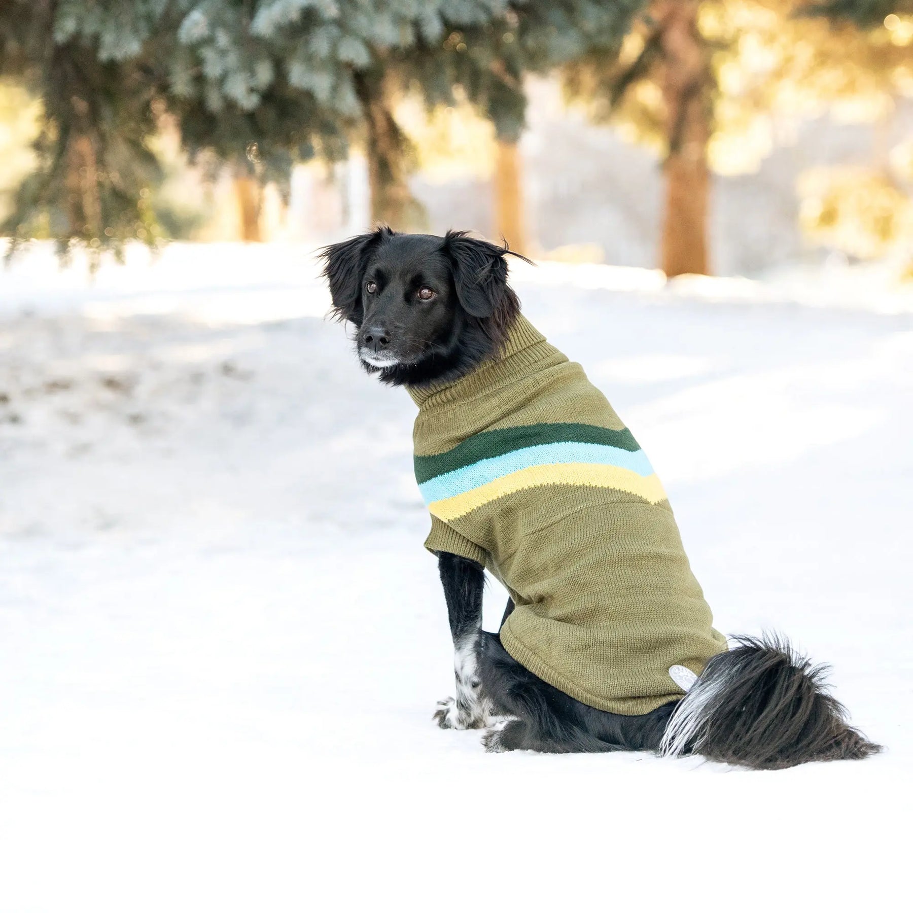 Alpine Sweater - Dark Khaki GF PET