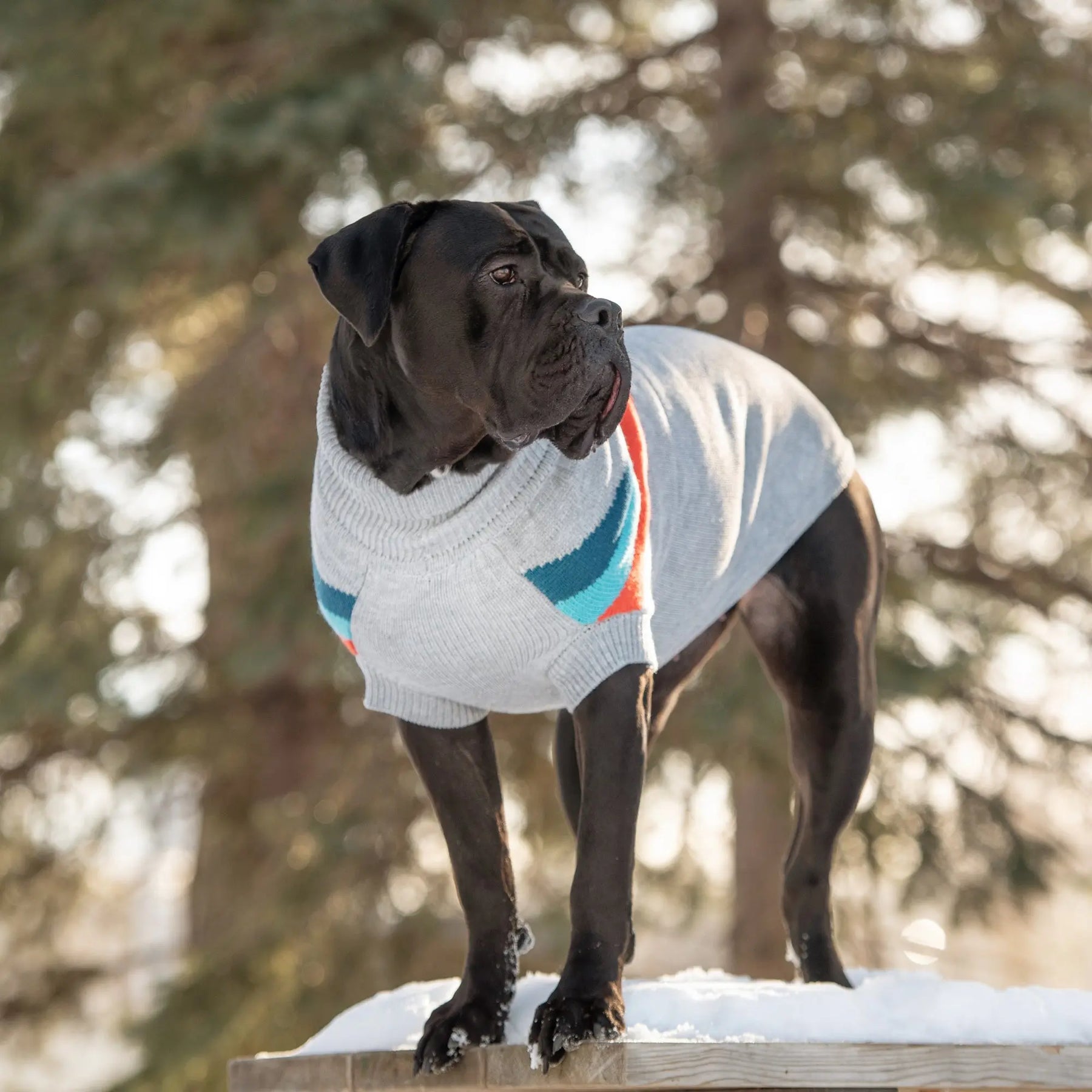 Alpine Sweater - Grey Mix GF PET