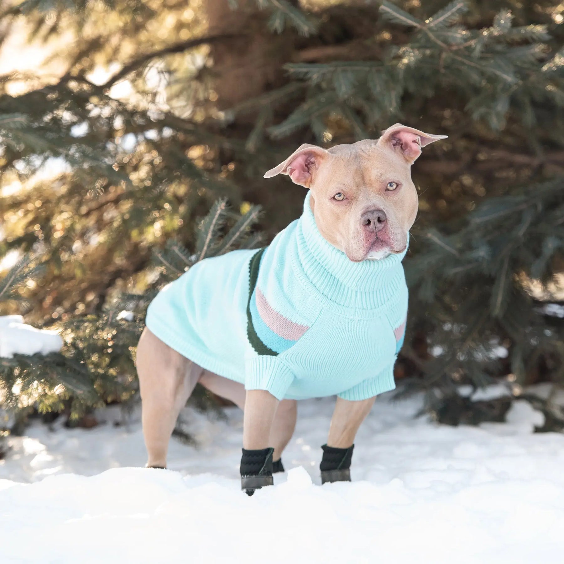 Alpine Sweater - Light Aqua GF PET