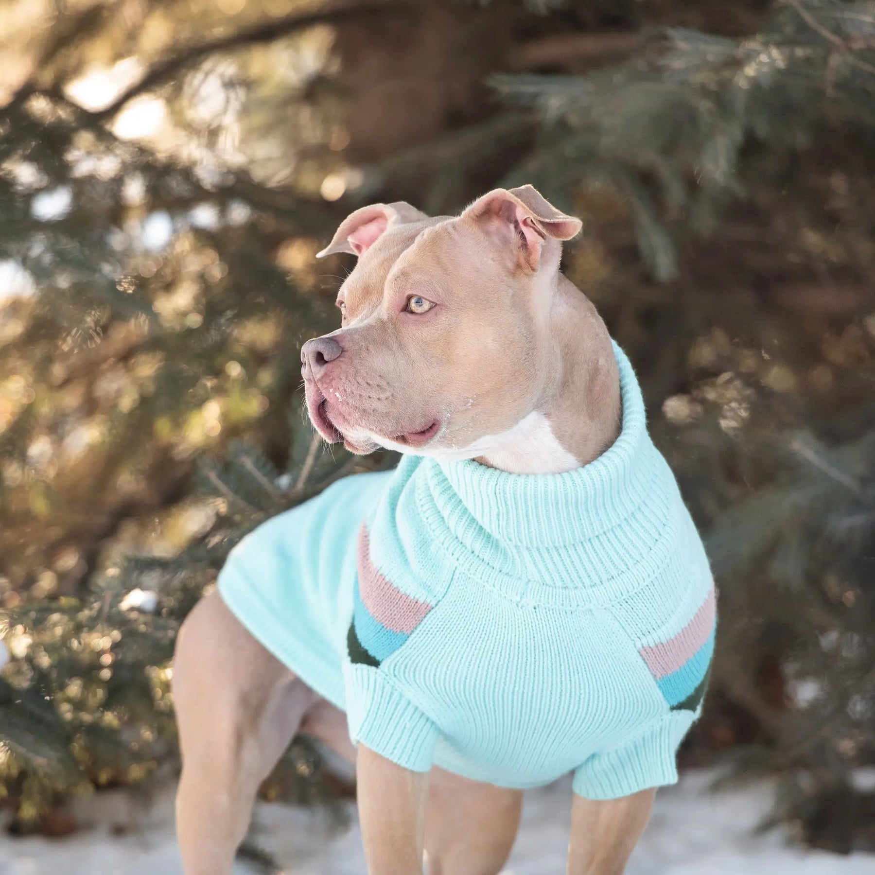 Alpine Sweater - Light Aqua GF PET
