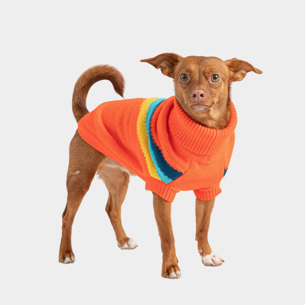 Alpine Sweater - Orange GF PET