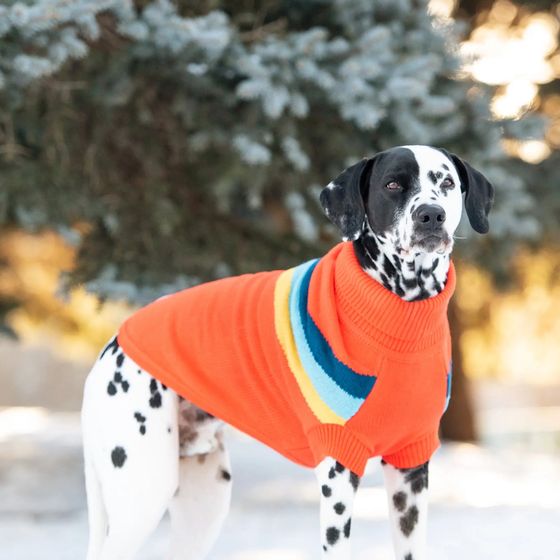 Alpine Sweater - Orange GF PET