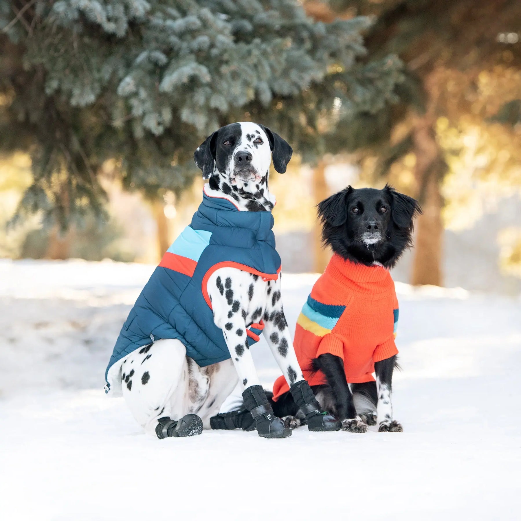 Alpine Sweater - Orange GF PET